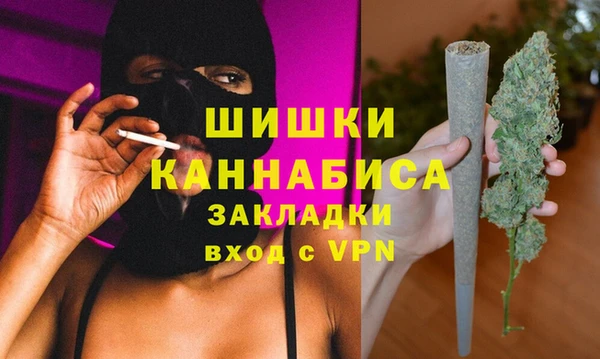 амф Алексин