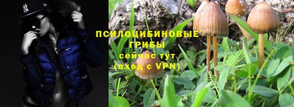 амф Алексин